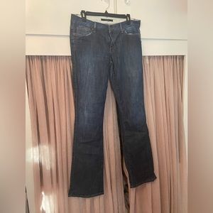 Womens joe jeans honey tompson size 31